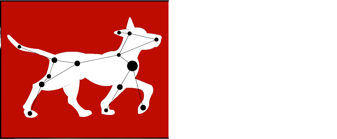 Canis Maior