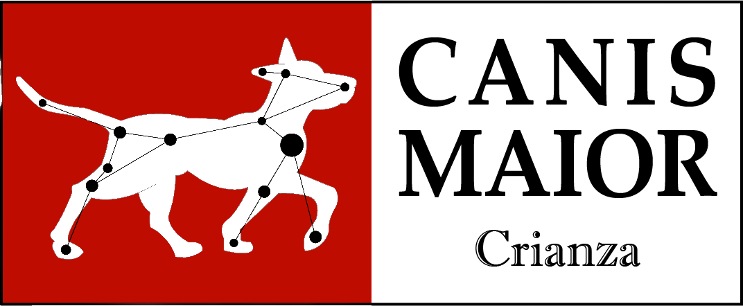 Canis Maior